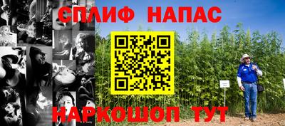 PSILOCYBIN Новодвинск