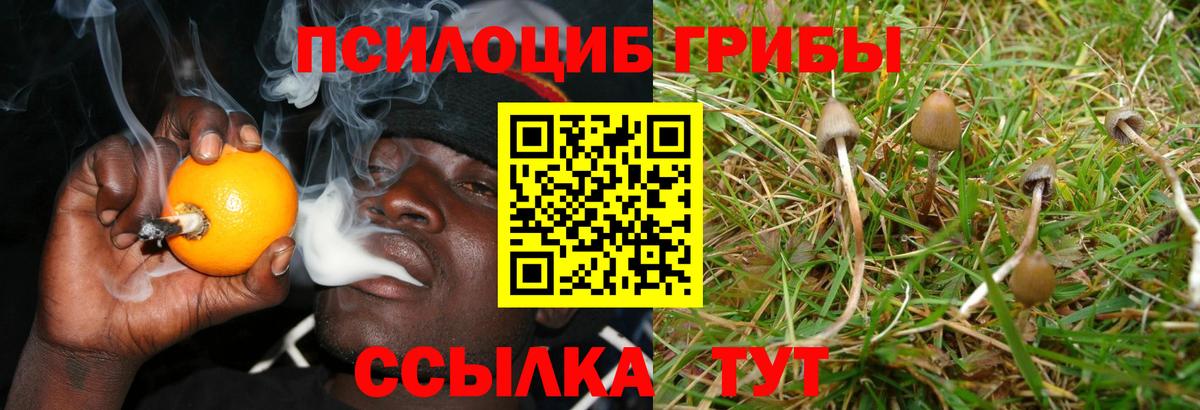 Славгород  Псилоцибиновые грибы Psilocybe  Галлюциногенные грибы мухоморы  Вход с VPN 